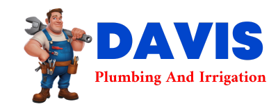 Trusted plumber in LAPEL